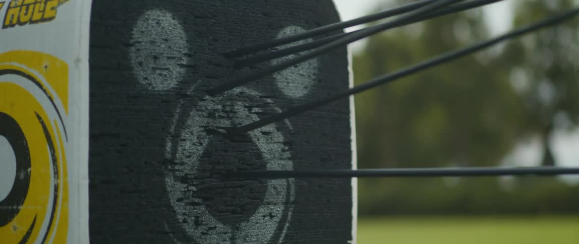 Arrows are being launched at a target with eyes and a smile