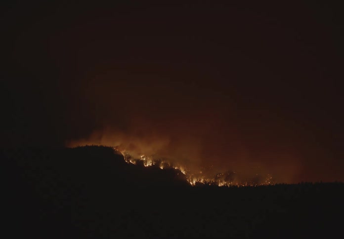 A forest catching fire during the night