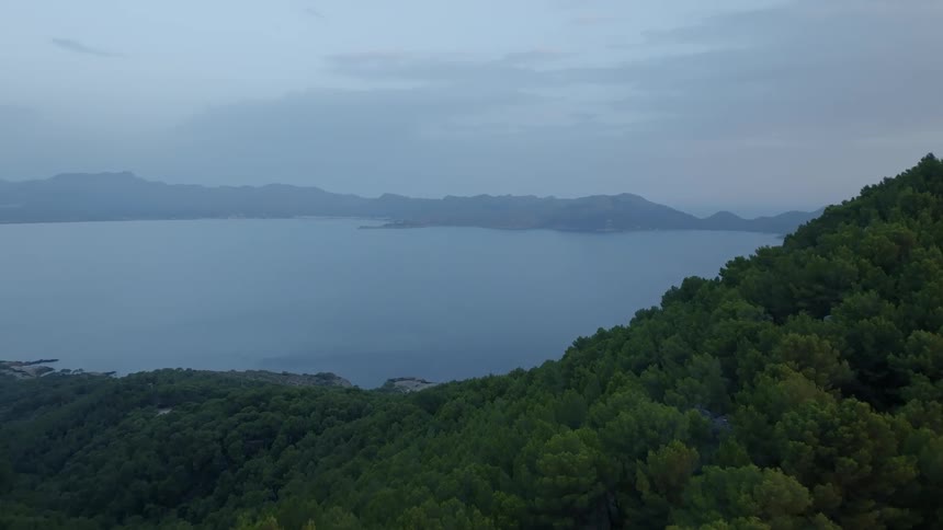 Tree covered mountains reveal the coastal sea