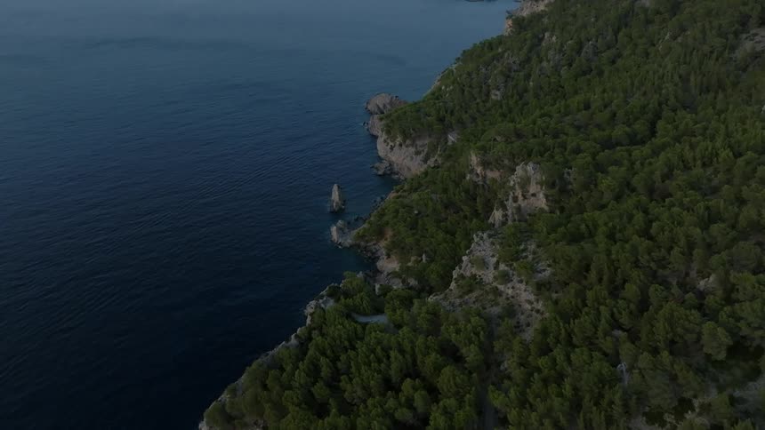 Aerial of an island covered in plants at midday