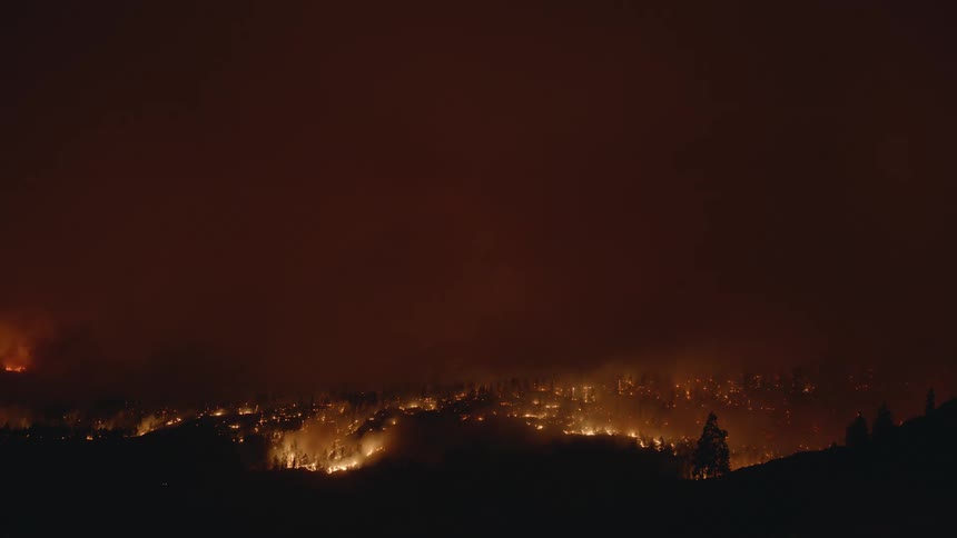 Forest on fire during the night