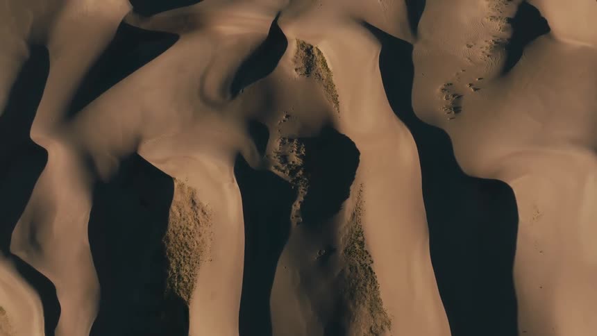 Vegetation and shadows fill valleys between dunes