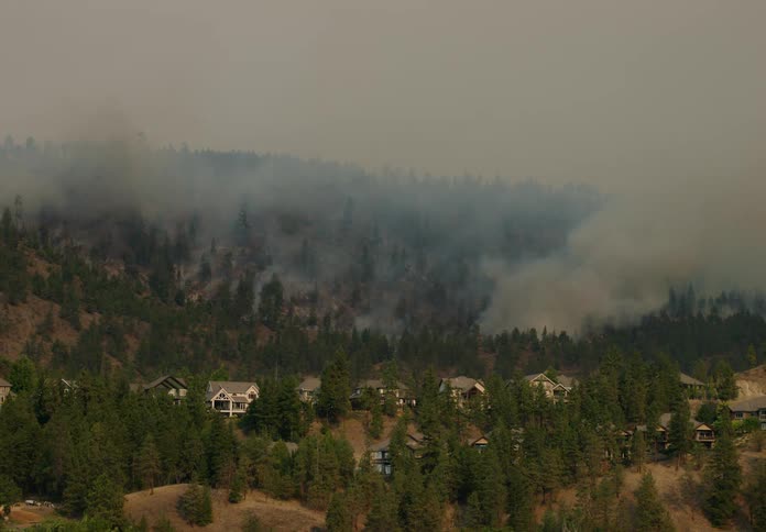 Drone view of smoke billowing from forest trees near rural houses