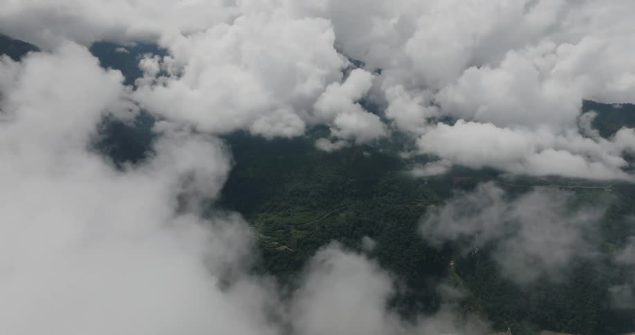 Aerial of a forest with clouds in the sky