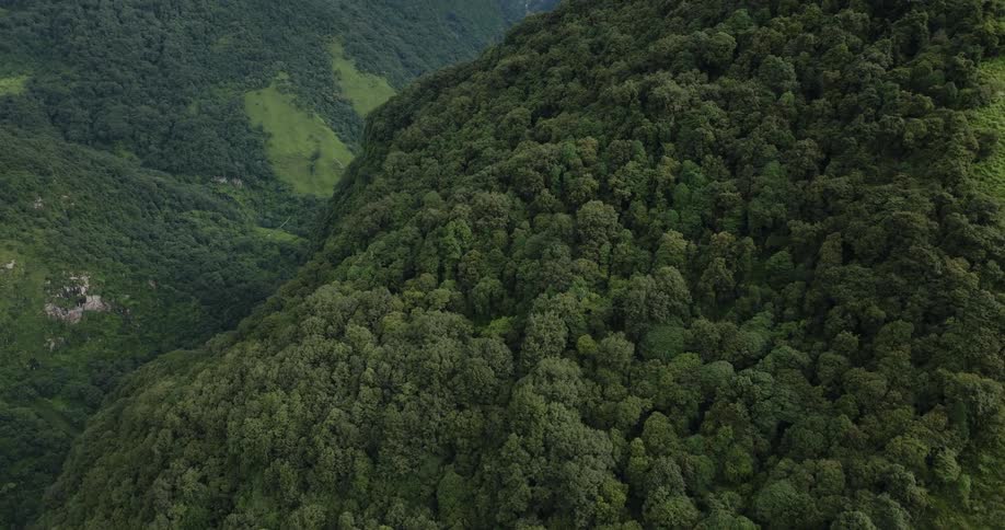 The mountains are covered with trees