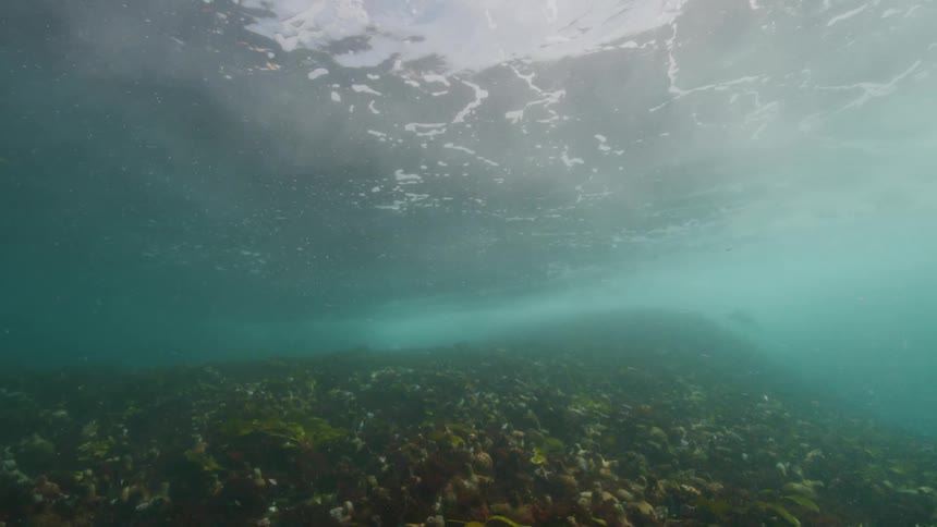 Underwater footage of a wave rolling over a coral reef
