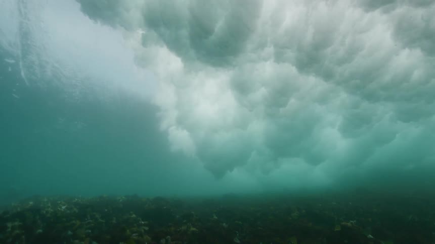 View from inside the sea of a powerful wave in motion