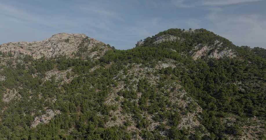 Aerial of a mountain peak ridge with trees during the day