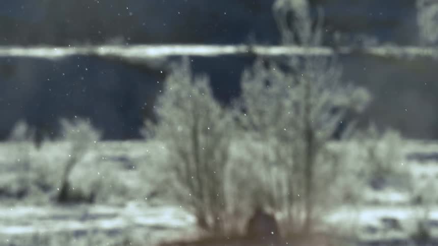 Some snow particles falling in a snowy environment