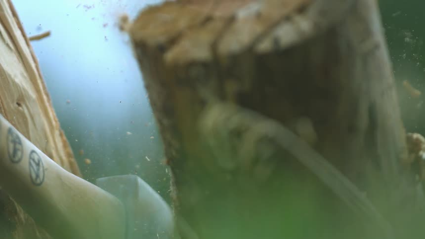 An ax splitting a tree trunk