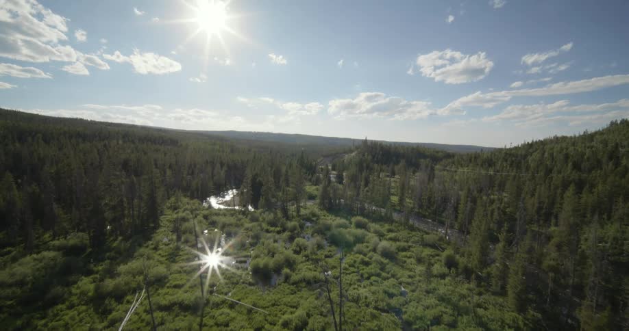 Aerial of forest area with a small river passing through
