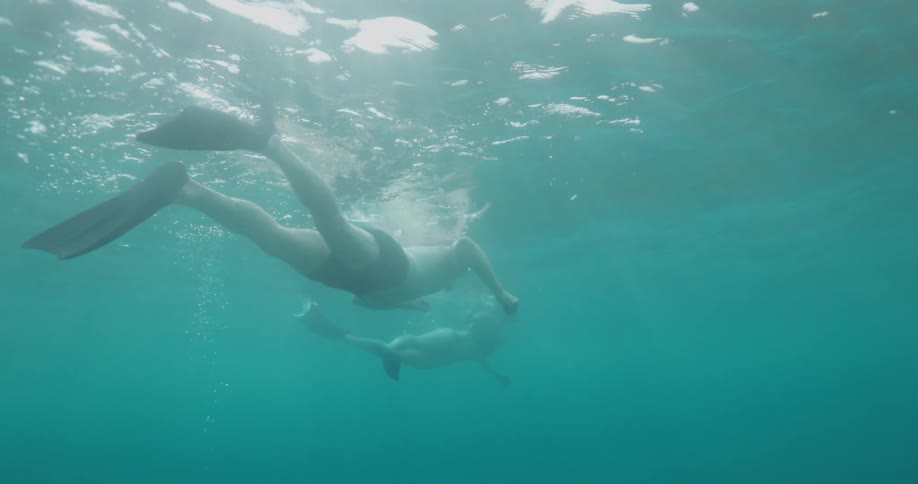 Two people under the ocean swimming as the sun light reflect in the water