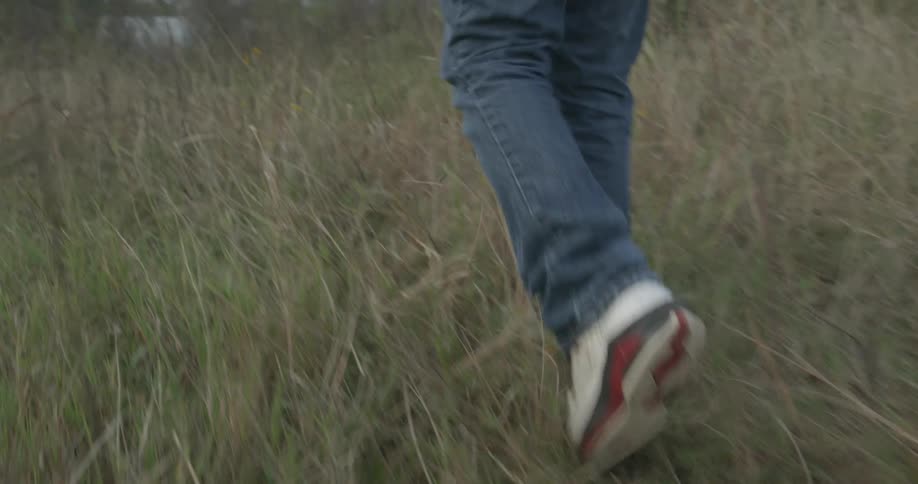 A person is walking through the tall grass