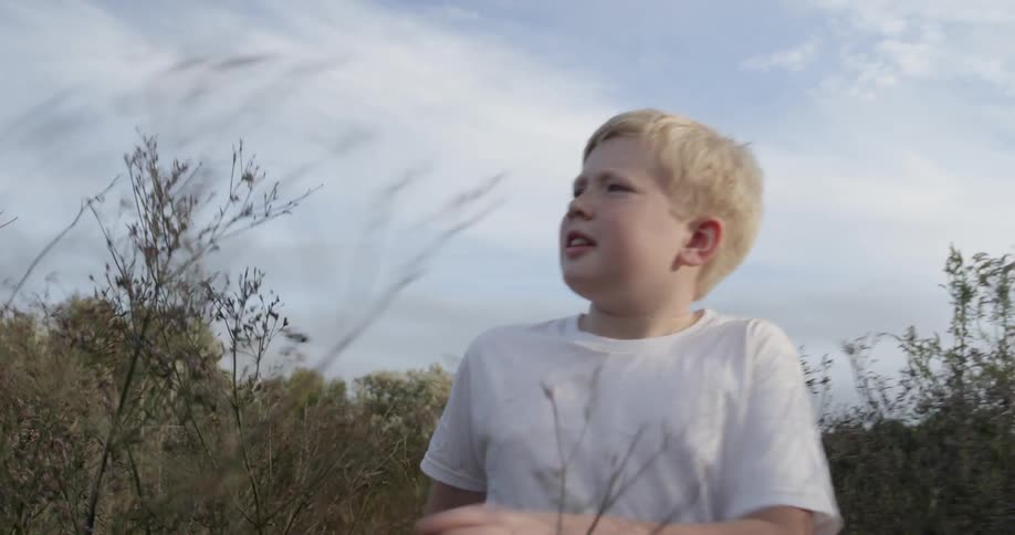 A boy is walking wading through tall grass and bushes
