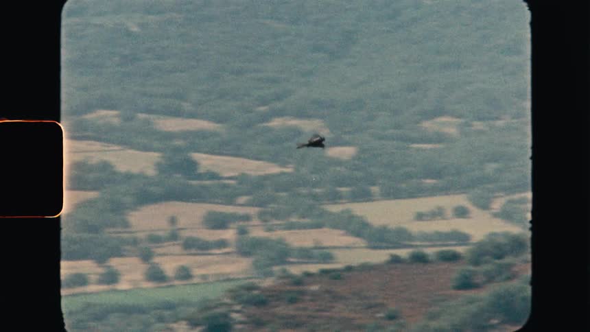 Super 8 film of a hawk flying over the countryside on a hot day