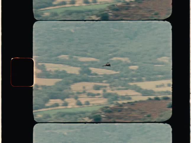 Super 8 film of a bird of prey flying through the air