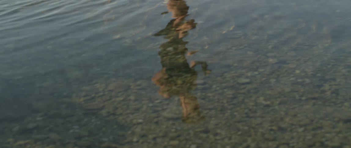A man running is reflecting in the water