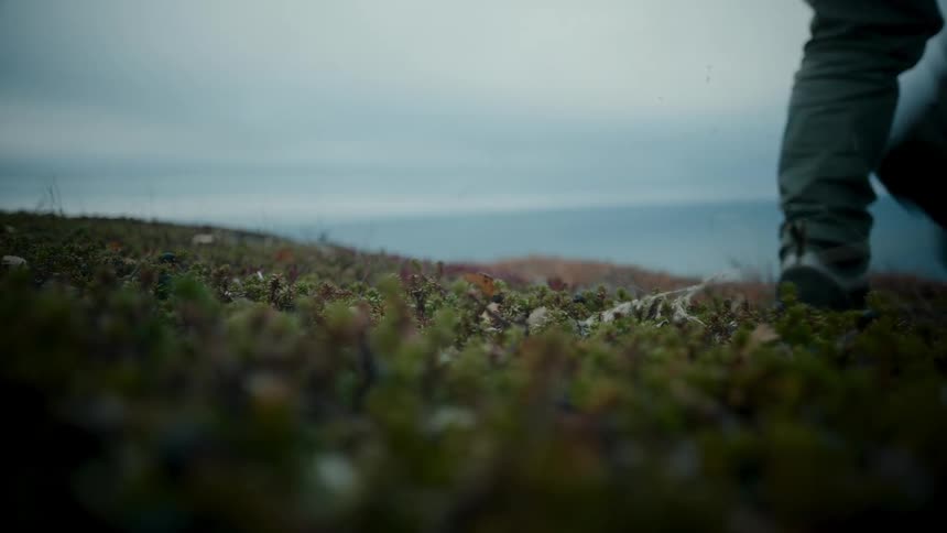 A person wearing hiking footwear walks through the grass near the coast