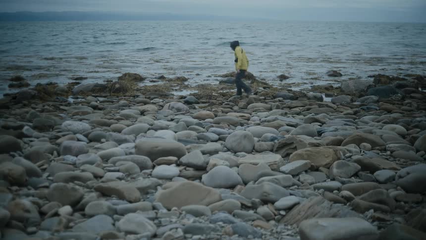 A man looking for shells at the seashore