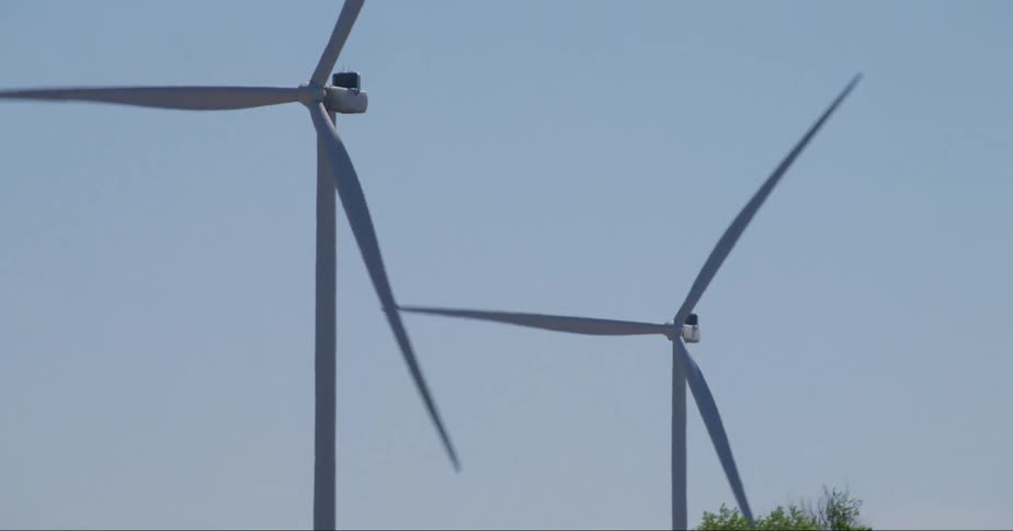 Windmills spin slowly amongst spaced out treetops
