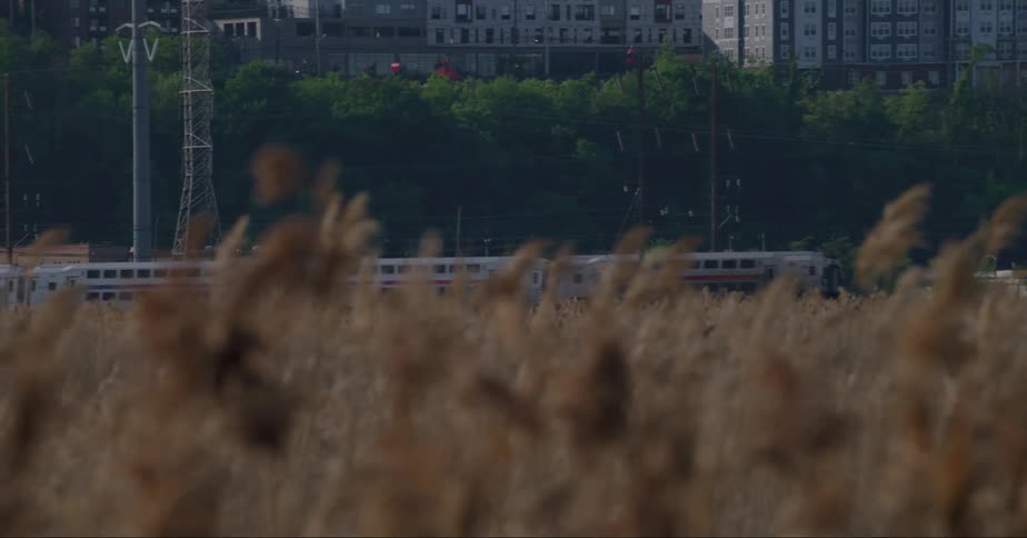 A train passes by the field