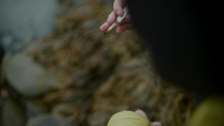 A person holding a crab leg