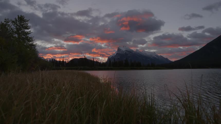 Tall grass leads to a lake at dawn