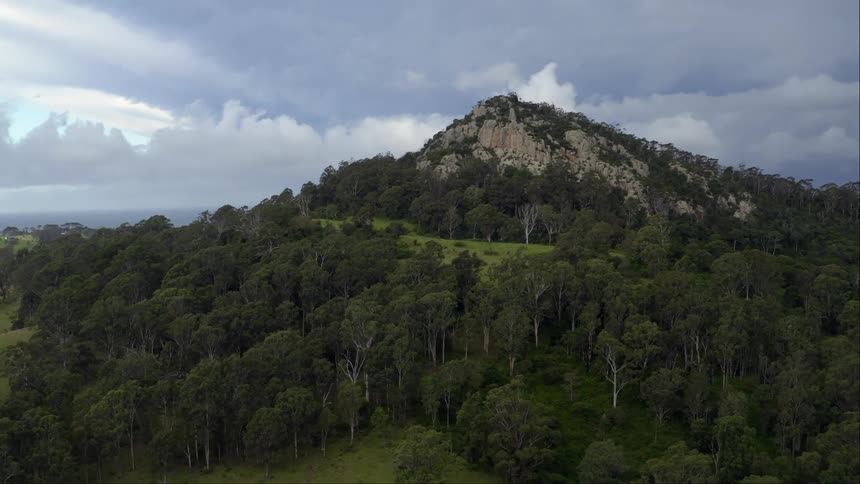 A rocky mountain in the backgroung and a tree forest in front of it