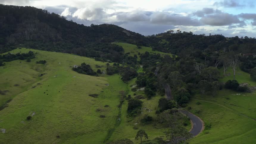 Aerial of a deserted road on a hill with a forest