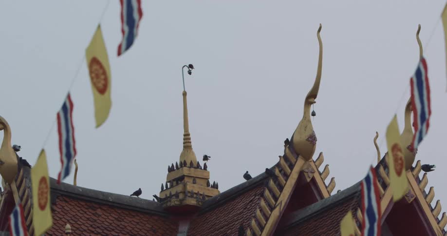 Birds on top of a roof with yellow towers
