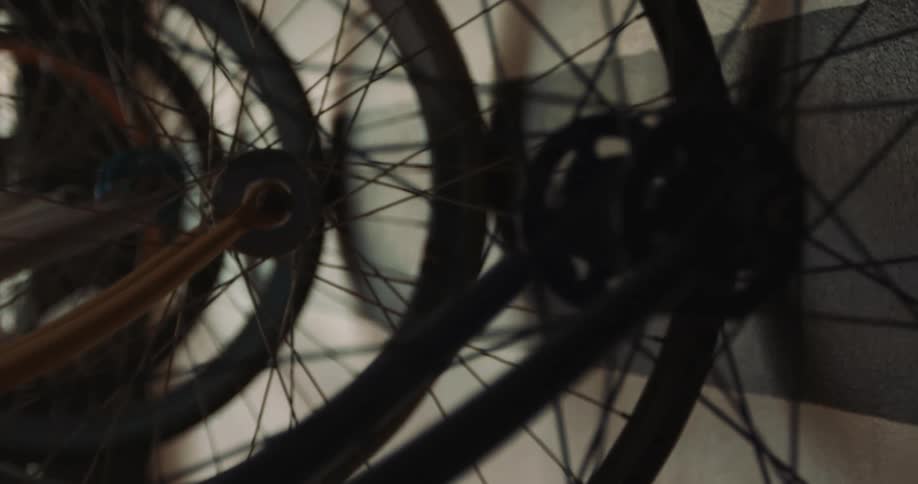 Bicycle tires hang near the wall in a bike store