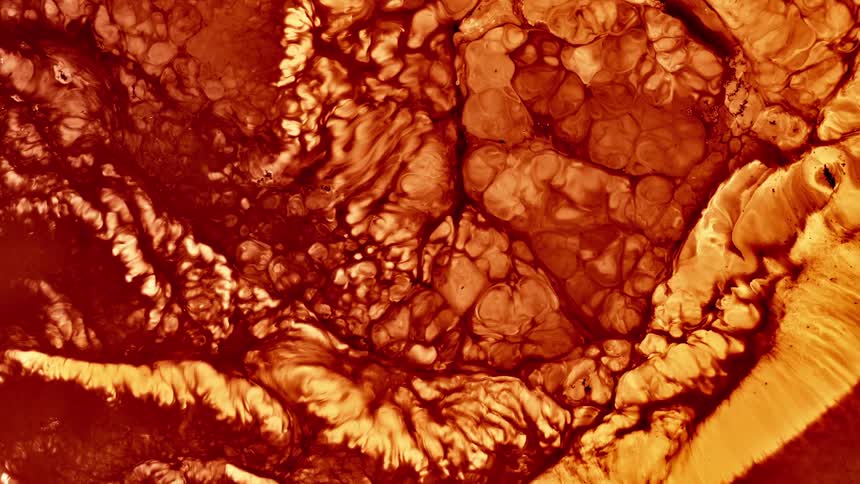 Thick and slow pulsing red fluid similar to lava