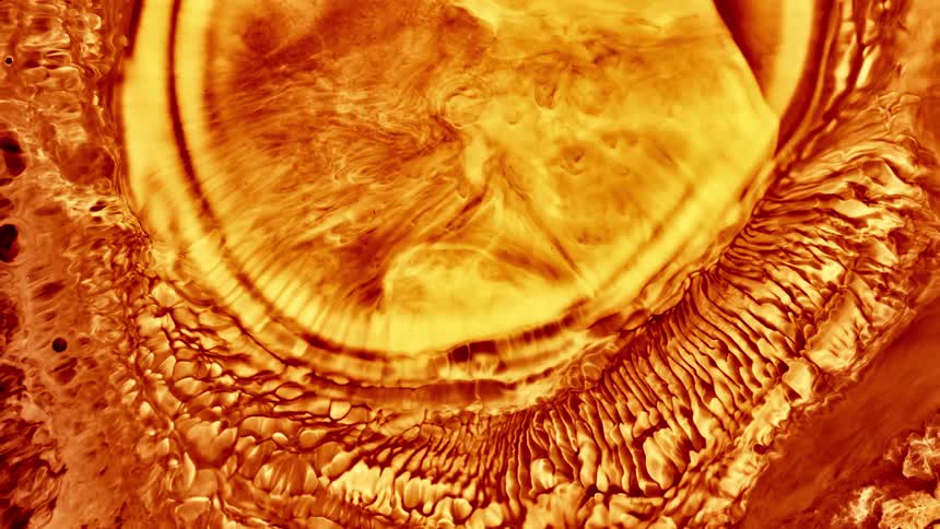A golden abstract oil like substance