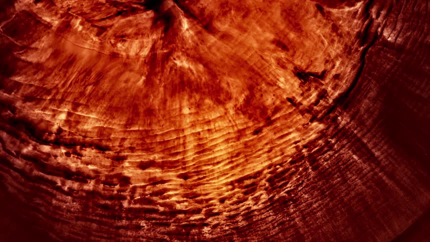Dark concentric rings surround golden brown center surface of mass