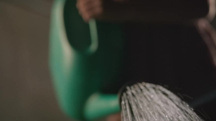 Someone is using a watering can to water small plants in a garden