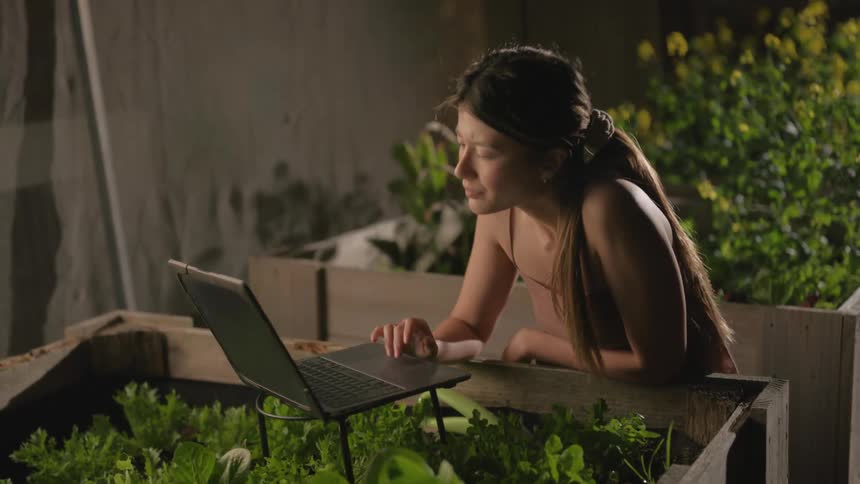 A woman working on a computador in the top of some potted plants