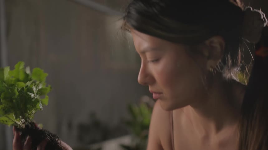 Woman uses a laptop to search about freshly harvested vegetables