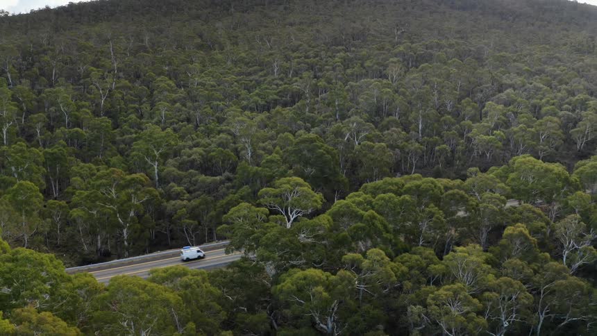A moving car on a tarred road in a forest area at midday