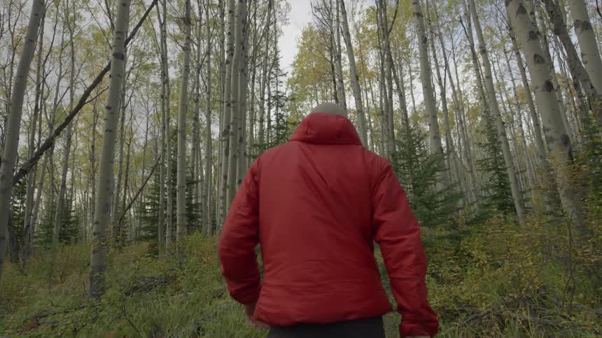 A man is hiking in the woods uphill