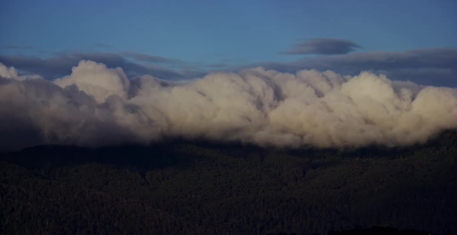 A huge white cloud high above a forest
