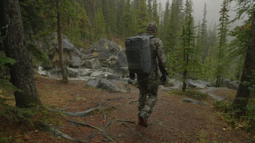 A man is hiking in the woods on a cloudy day