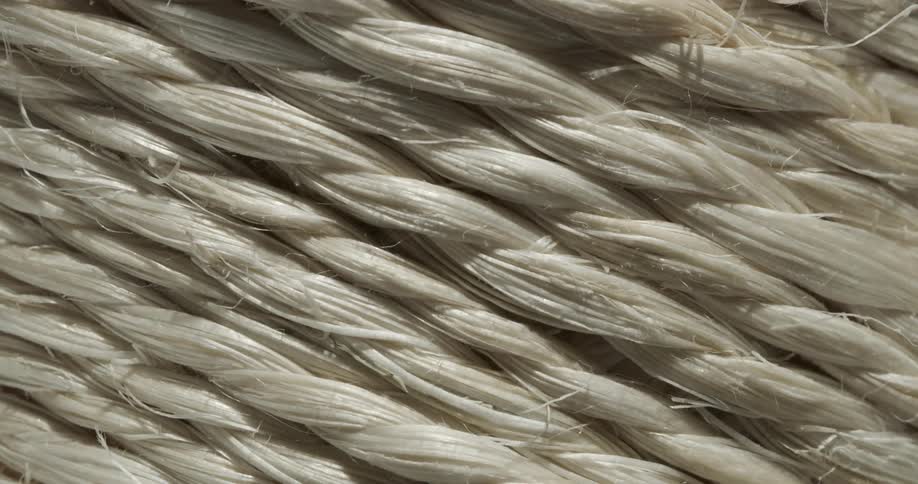 A pattern of objects with strings and fibers where a shadow passes across the surface