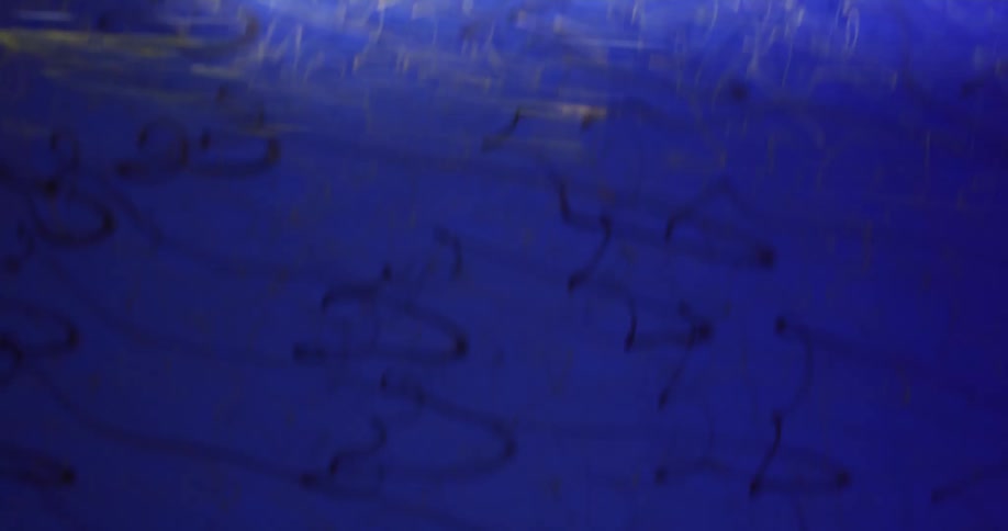A closeup of a blue ceramic vase in motion