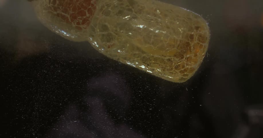 Glass in its solid state in production