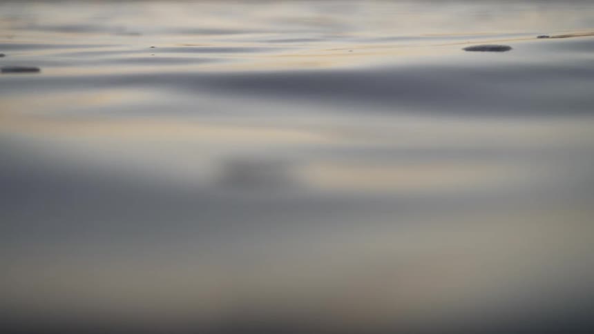Sunset light reflects on the ripples of a body of water