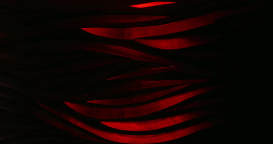 A red object being illuminated in a standard way