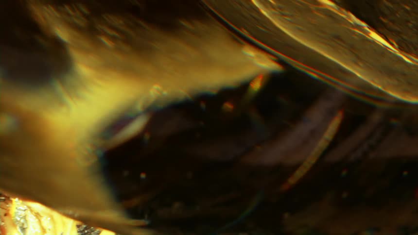 A yellow melted video spinning