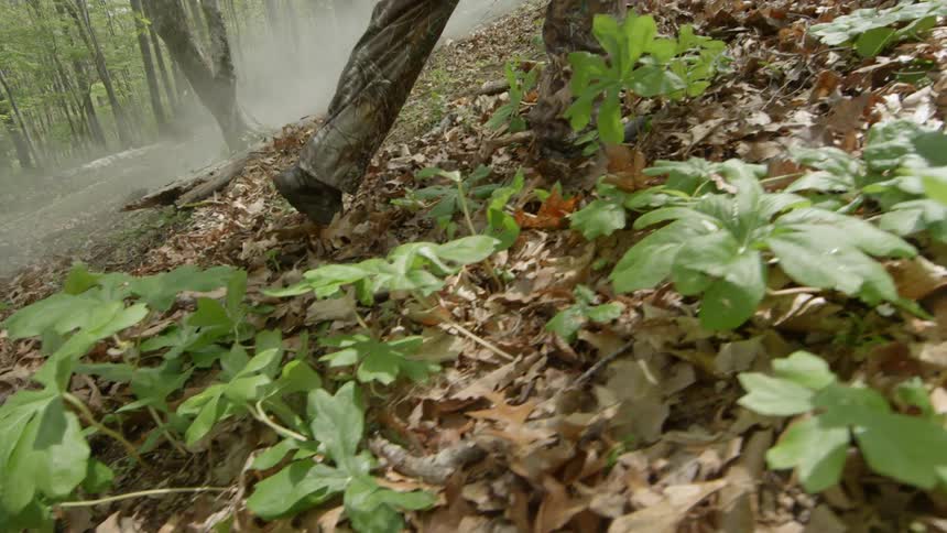 A person walks uphill over dead leaves