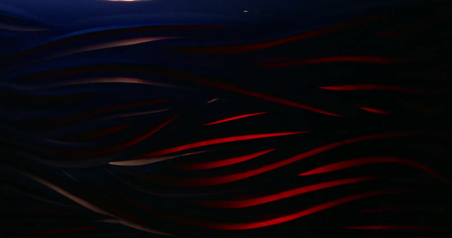 Objects shaped like blue and red lines being illuminated by light