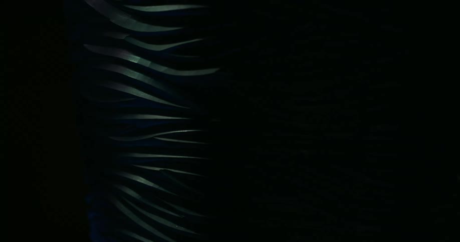 Abstract metallic texture with colored lights and darkness